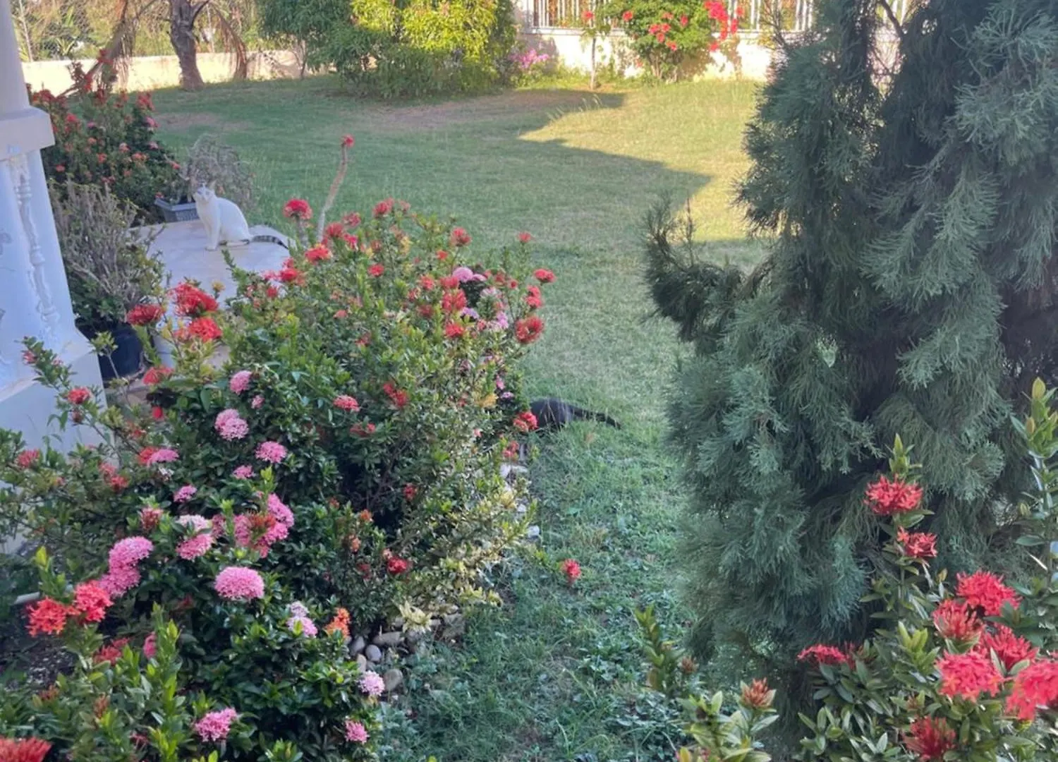 Auglo Villa Black River Giamaica