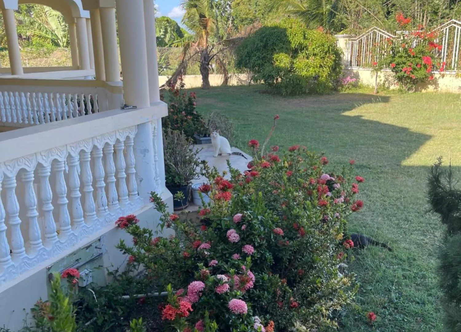 Auglo Villa Black River